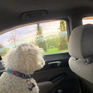 Meet your Posher, Jaden